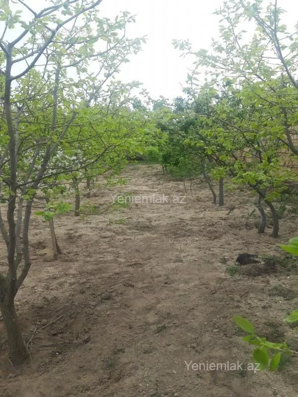 Satılır 6 otaqlı həyət evi 260 m²