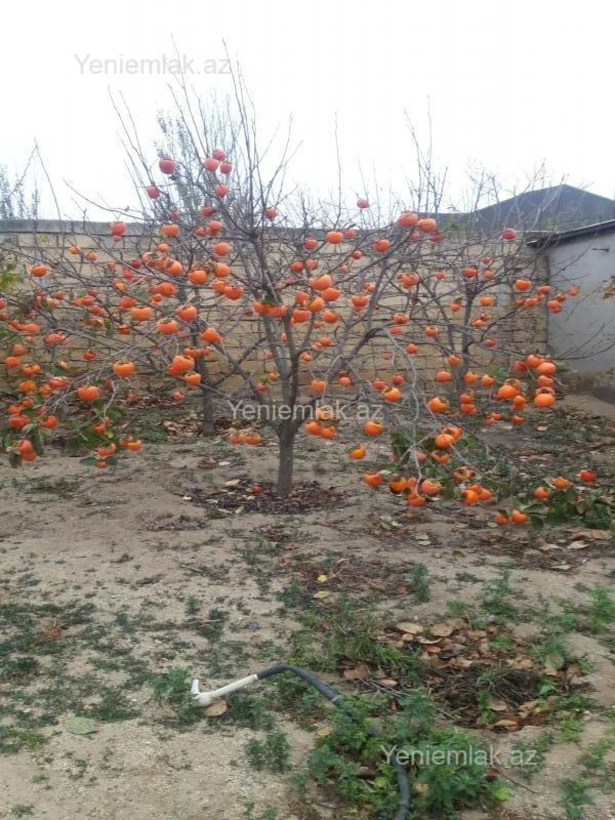 Satılır 6 otaqlı həyət evi 260 m²