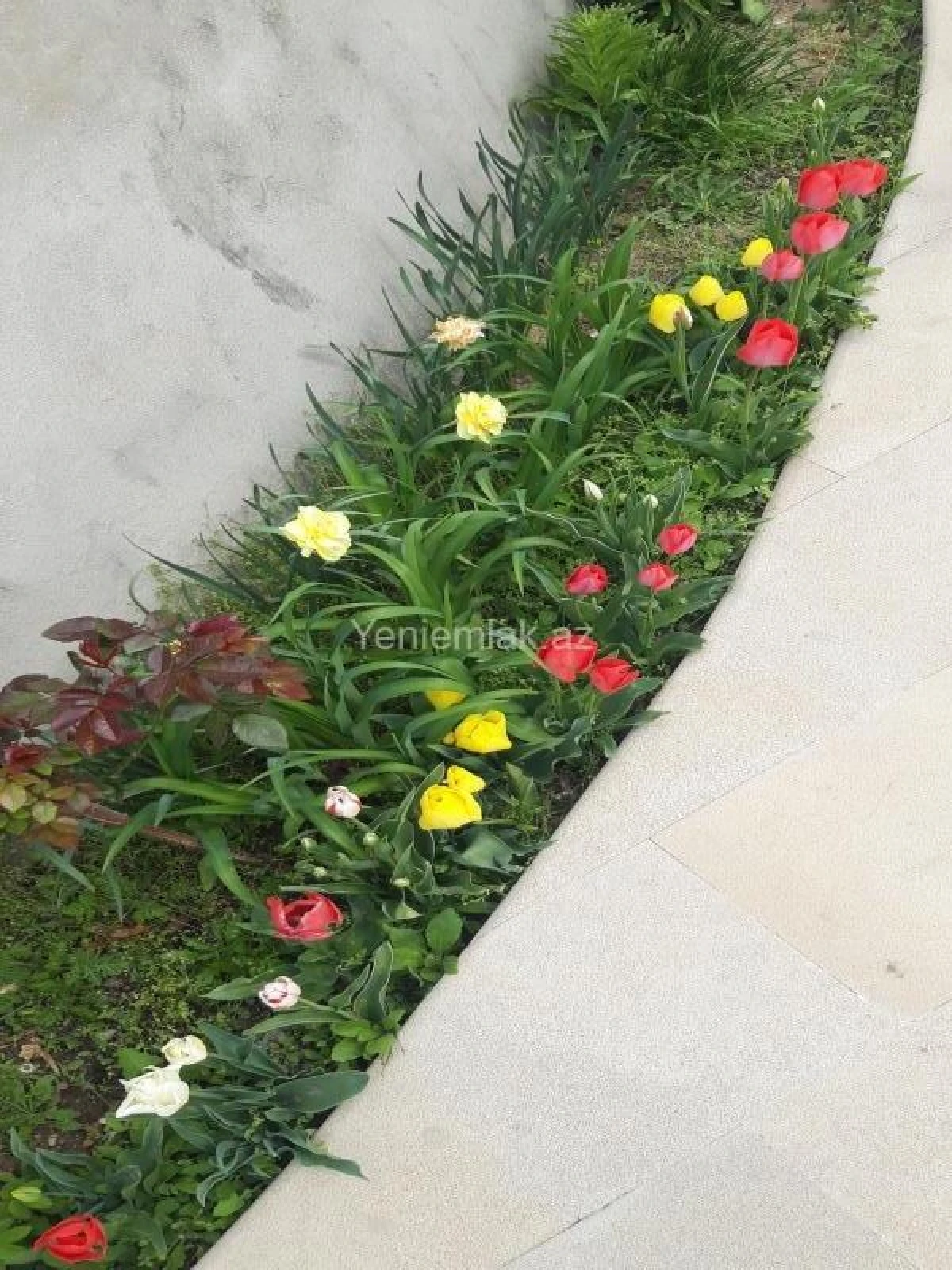 Satılır 6 otaqlı həyət evi 260 m²