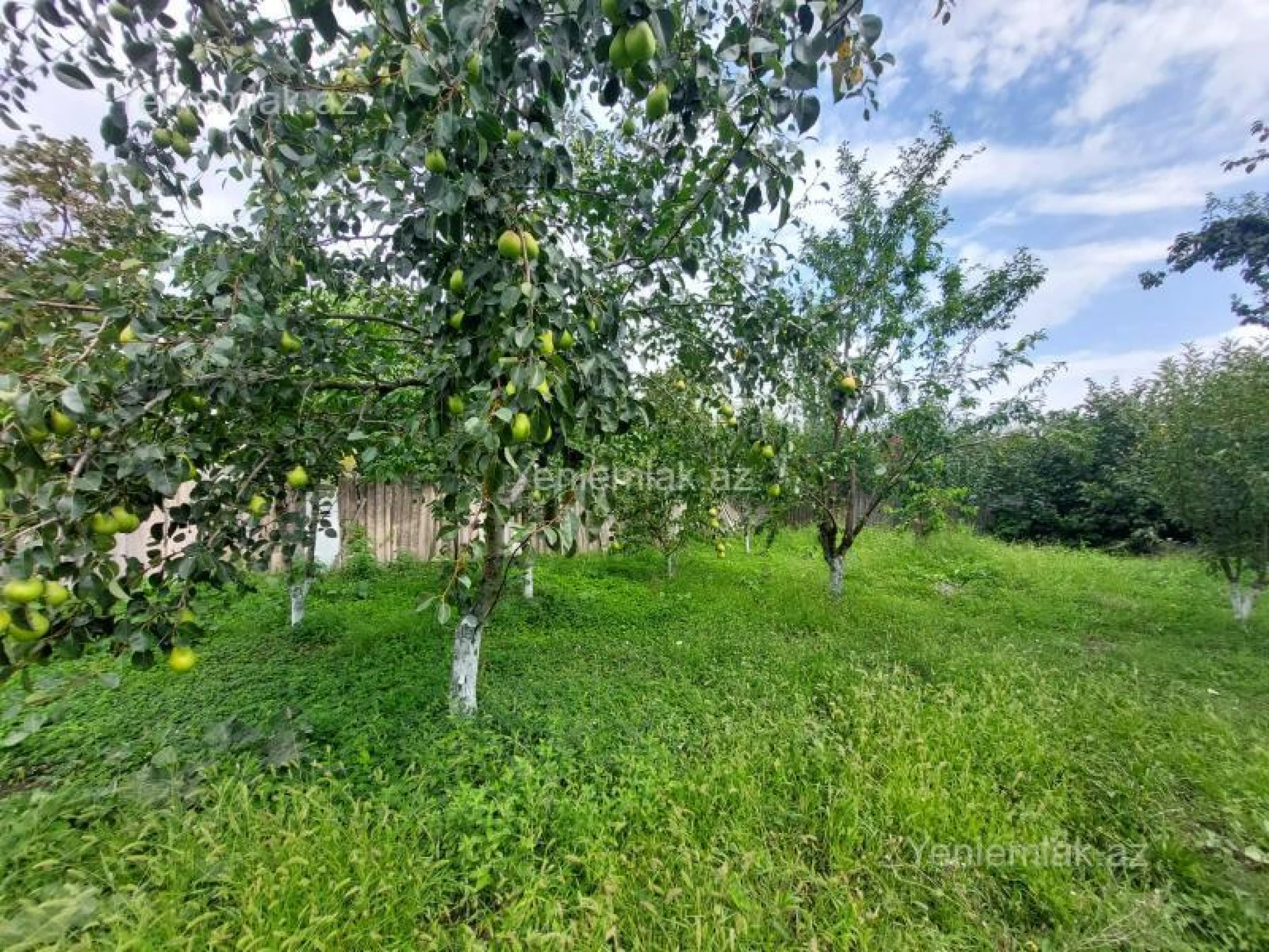 Satılır 10 otaqlı həyət evi 230 m²