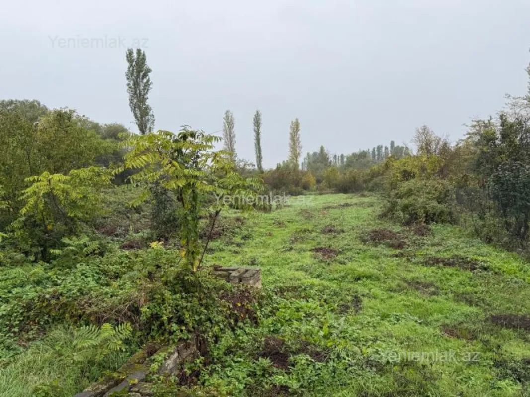 Satılır torpaq sahəsi