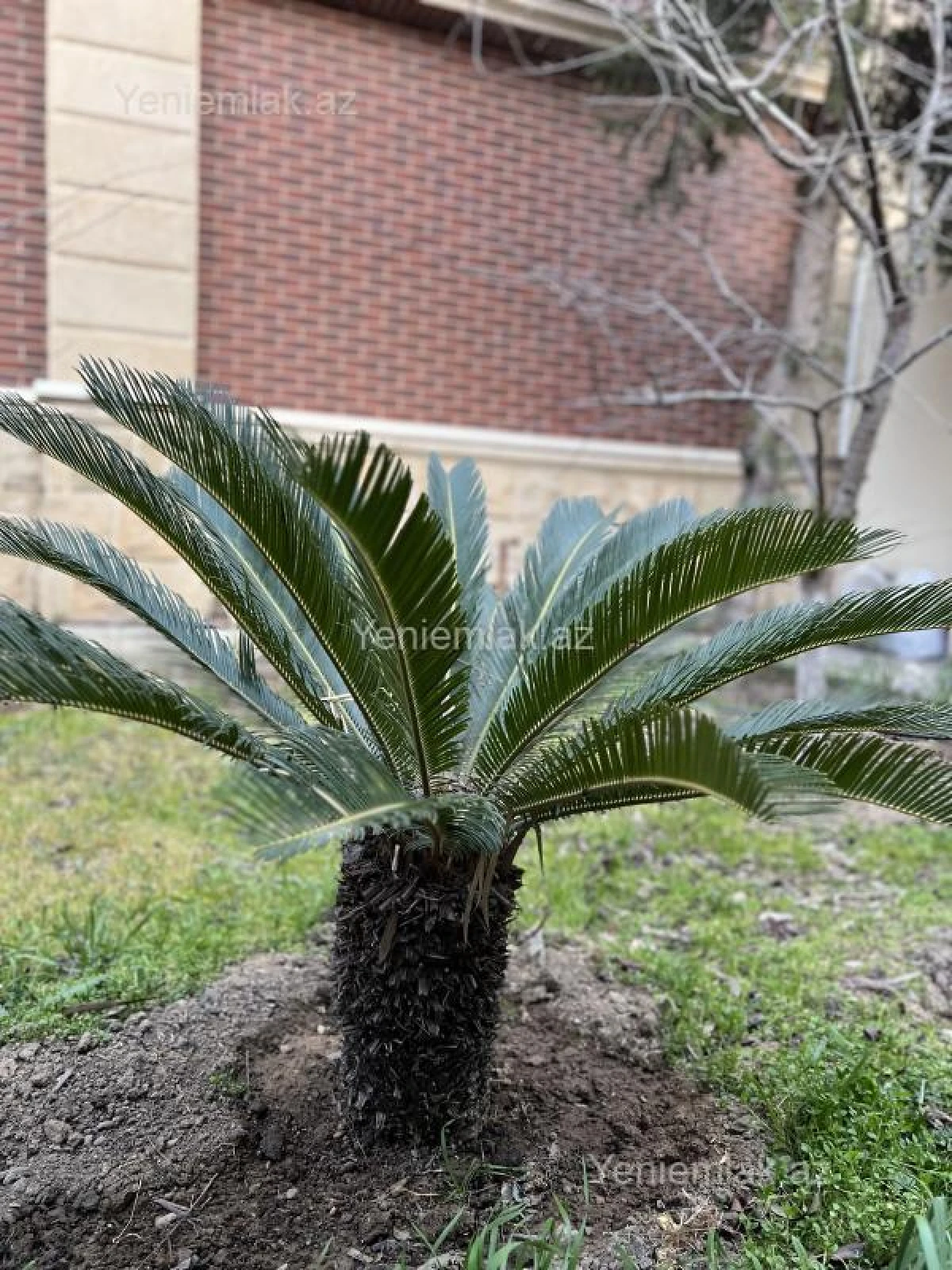 Satılır 3 otaqlı həyət evi 80 m²