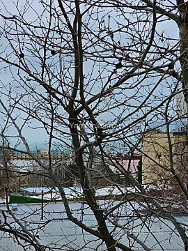 Satılır 4 otaqlı köhnə tikili 180 m²