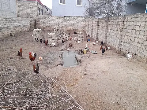 Satılır torpaq sahəsi — Bakı, Sabunçu