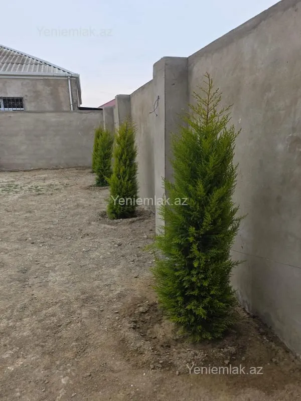 Satılır 4 otaqlı həyət evi