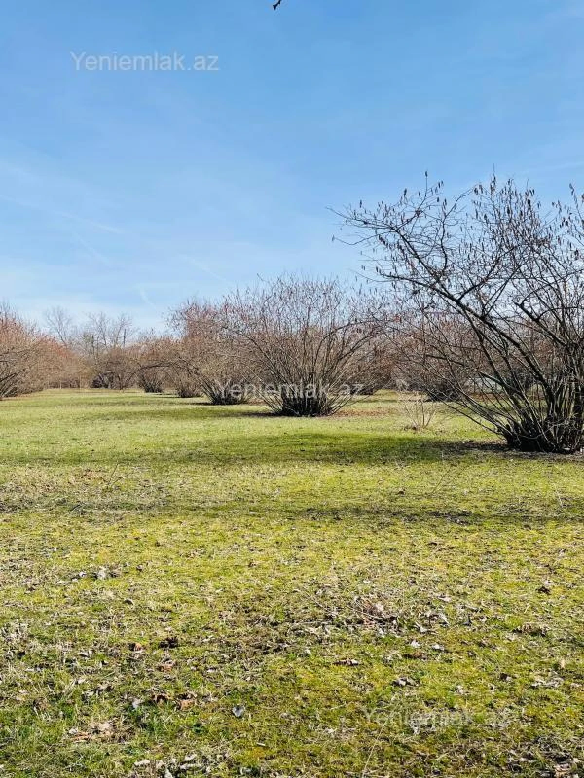 Satılır torpaq sahəsi