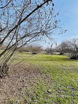 Satılır torpaq sahəsi — Qəbələ