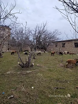 Satılır torpaq sahəsi — Abşeron, Novxanı