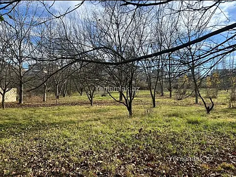 Satılır torpaq sahəsi — Quba