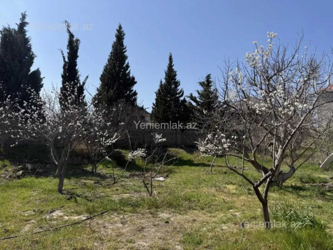 Satılır torpaq sahəsi