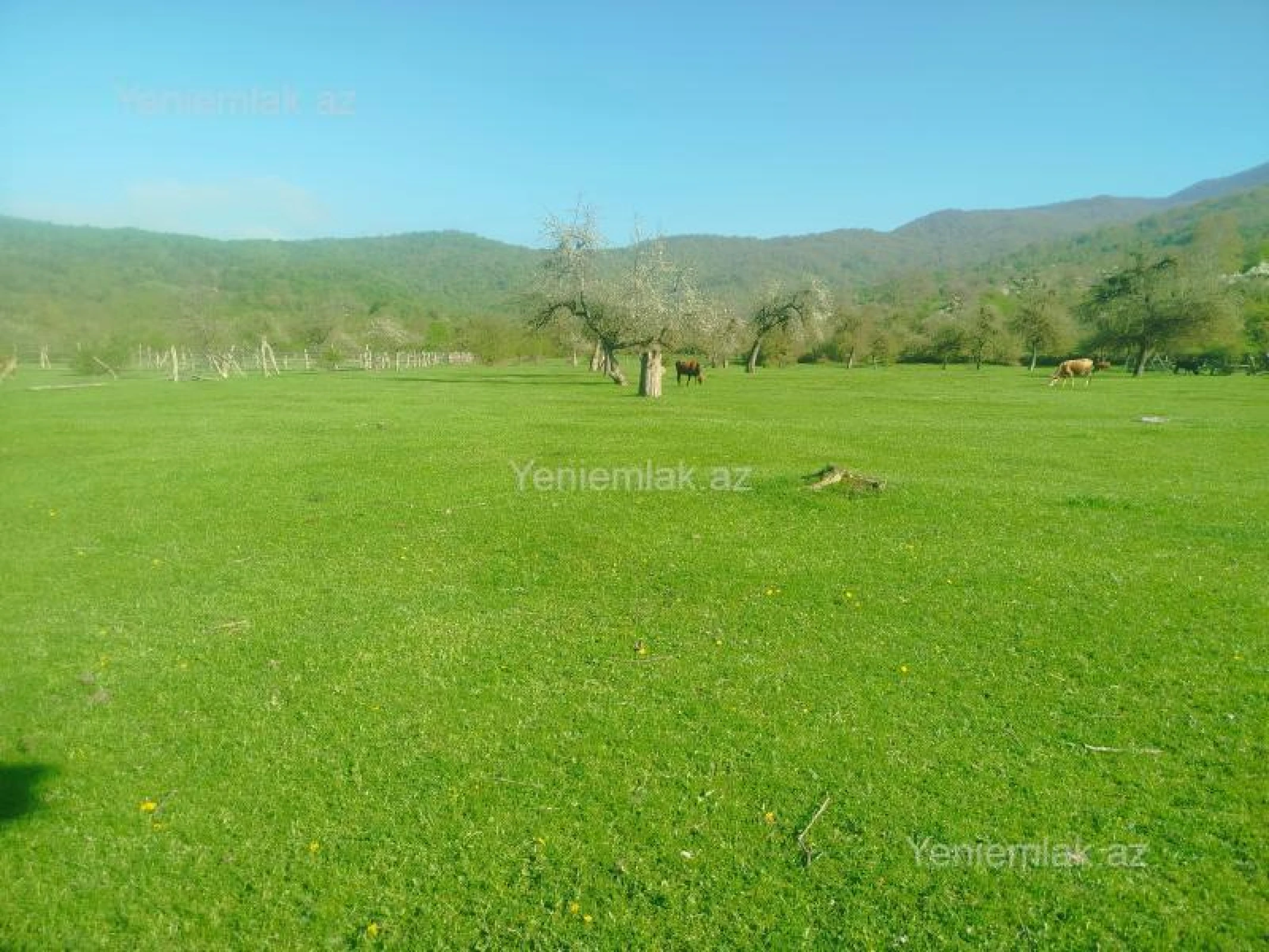 Satılır torpaq sahəsi