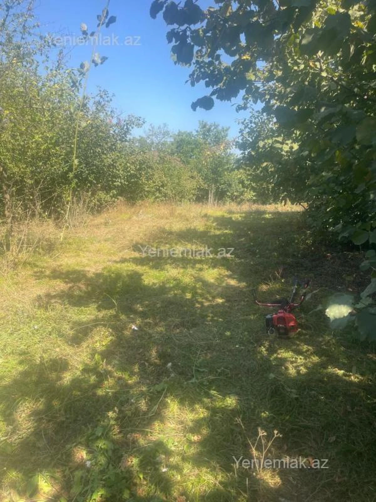 Satılır torpaq sahəsi