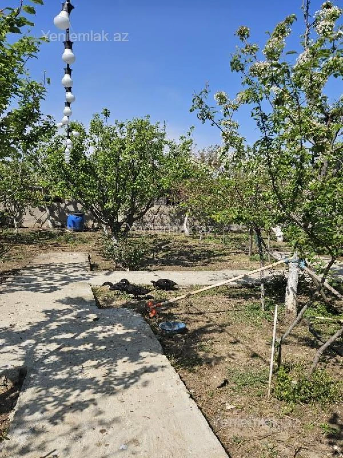 Satılır 5 otaqlı həyət evi 300 m²