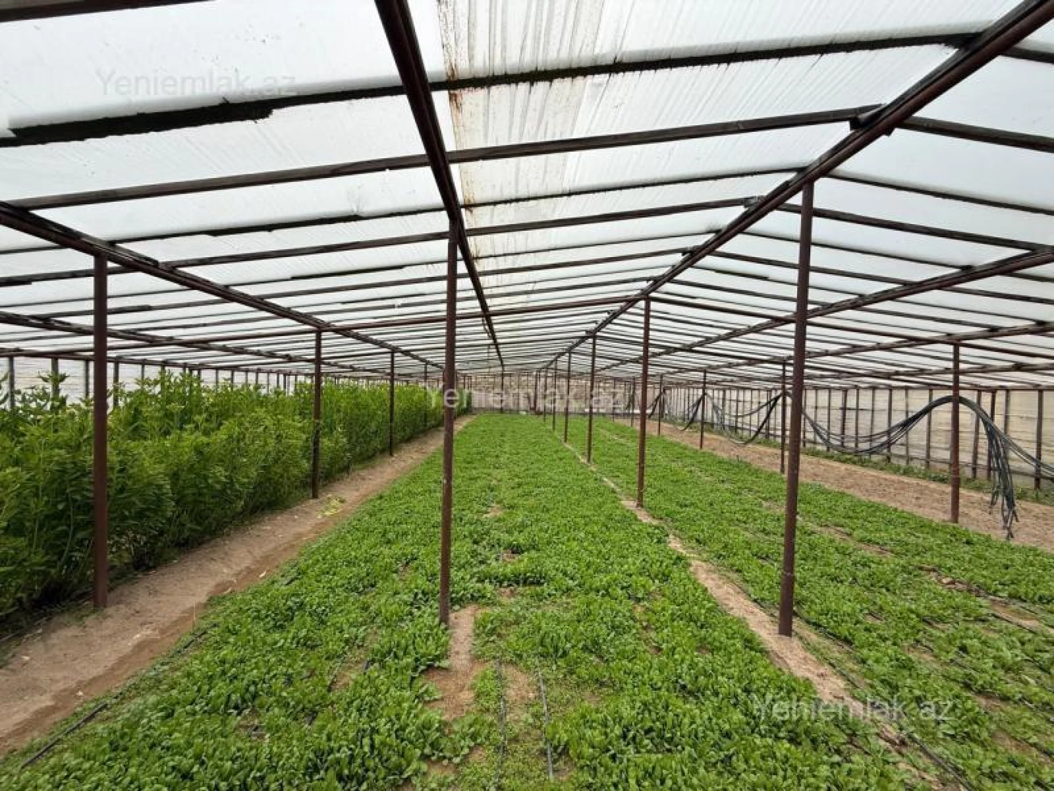 Satılır 5 otaqlı həyət evi 200 m²