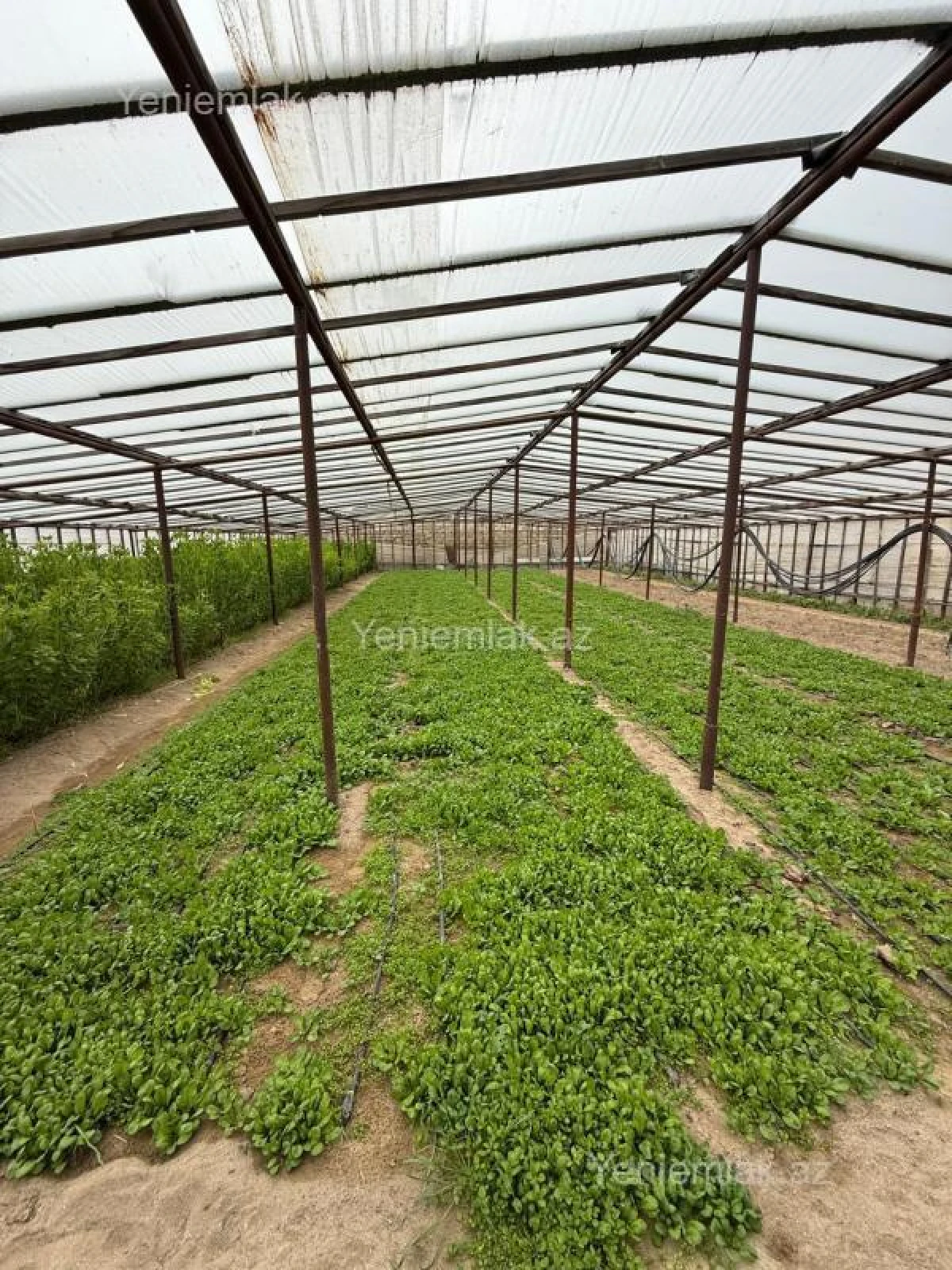 Satılır 5 otaqlı həyət evi 200 m²