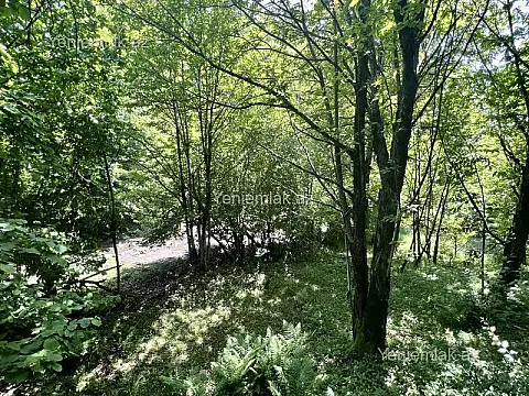 Satılır torpaq sahəsi — Qəbələ