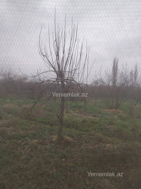 Satılır torpaq sahəsi