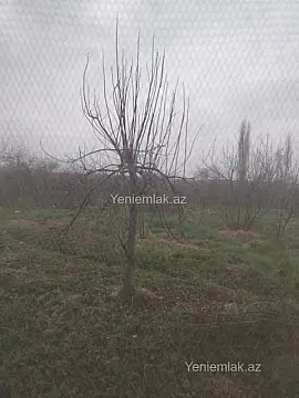 Satılır torpaq sahəsi — Bakı