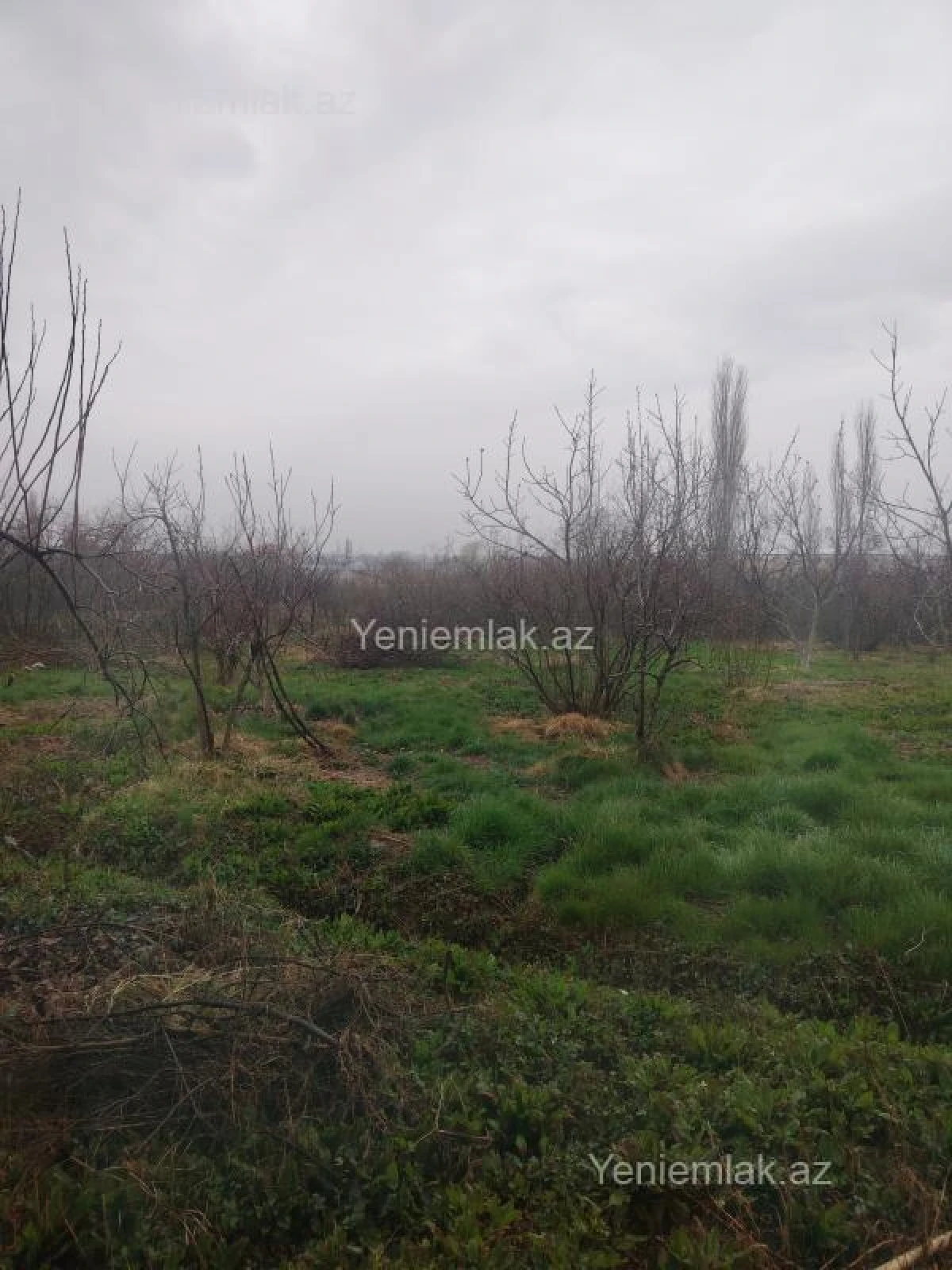 Satılır torpaq sahəsi