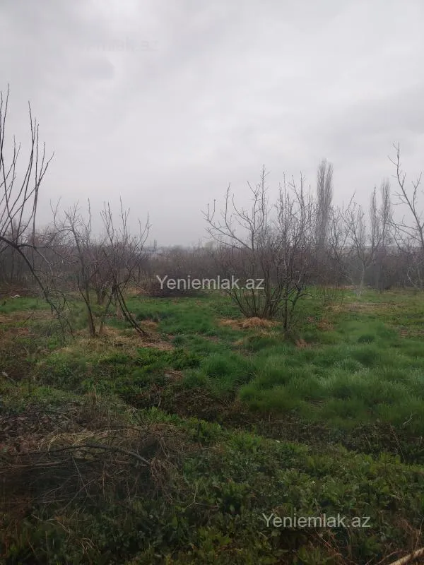 Satılır torpaq sahəsi