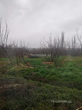 Satılır torpaq sahəsi