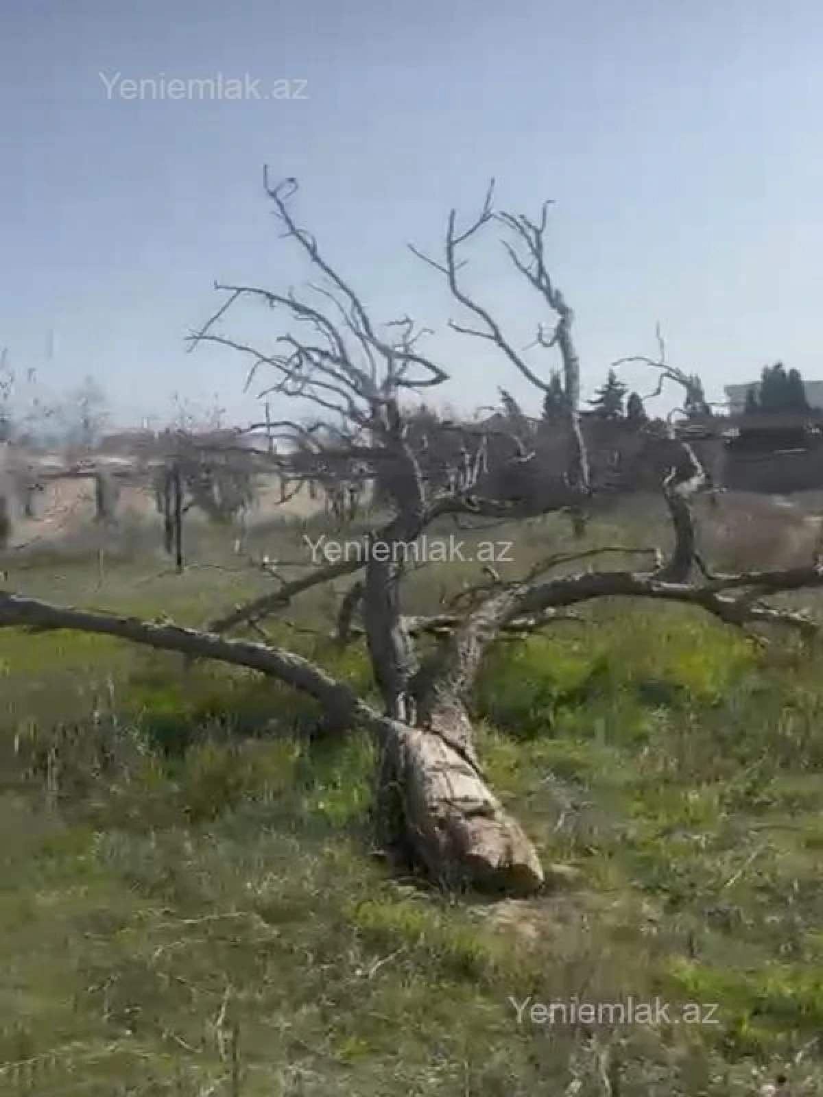 Satılır torpaq sahəsi