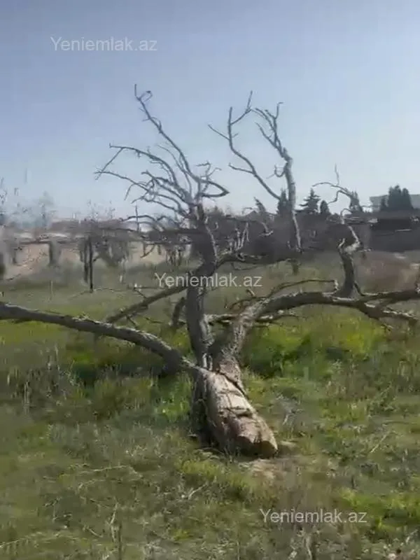 Satılır torpaq sahəsi