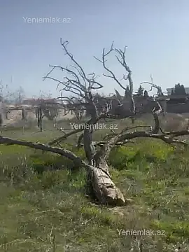 Satılır torpaq sahəsi