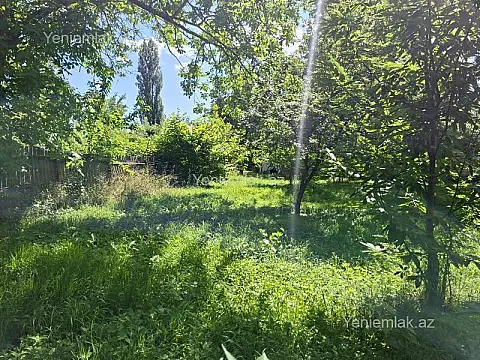 Satılır torpaq sahəsi — Qəbələ