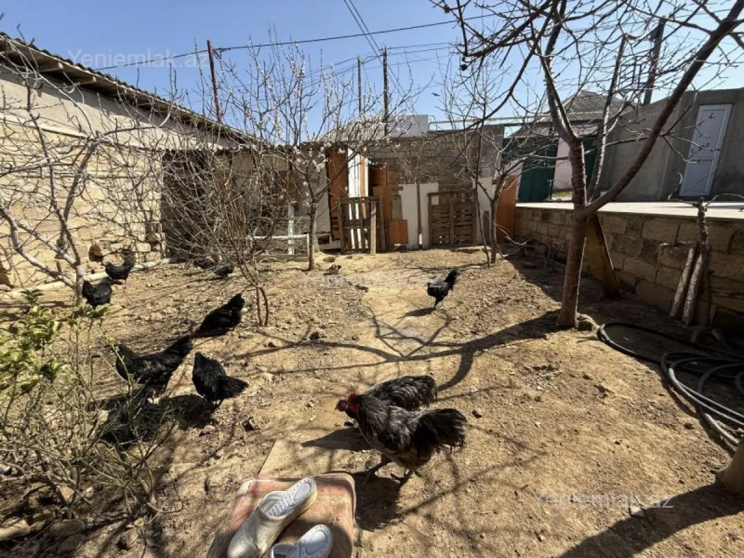 Satılır 3 otaqlı həyət evi 120 m²