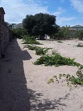 Satılır torpaq sahəsi — Abşeron, Fatmayı