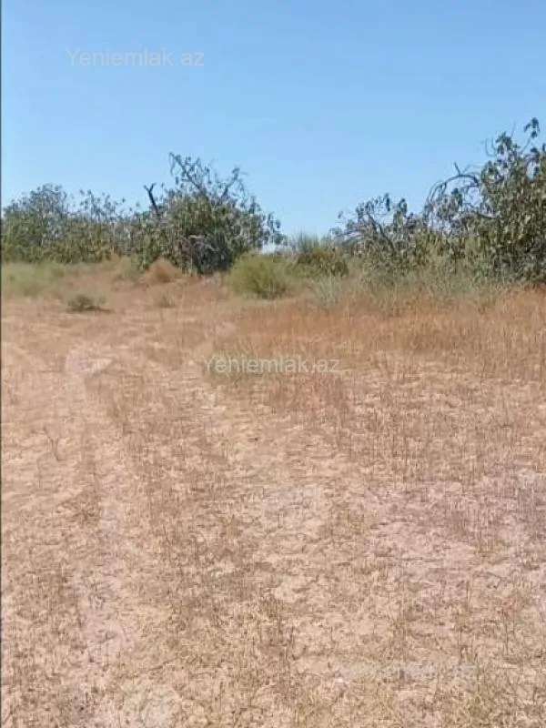 Satılır torpaq sahəsi