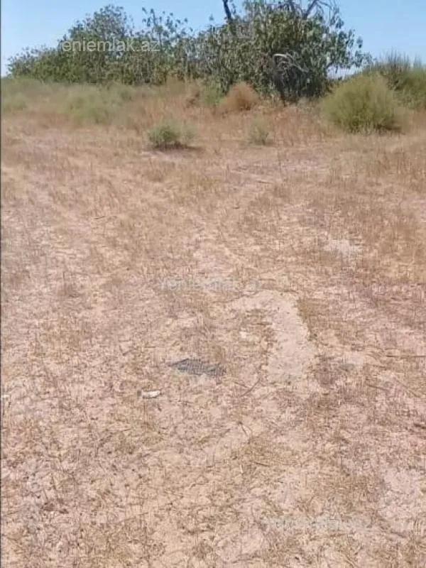 Satılır torpaq sahəsi