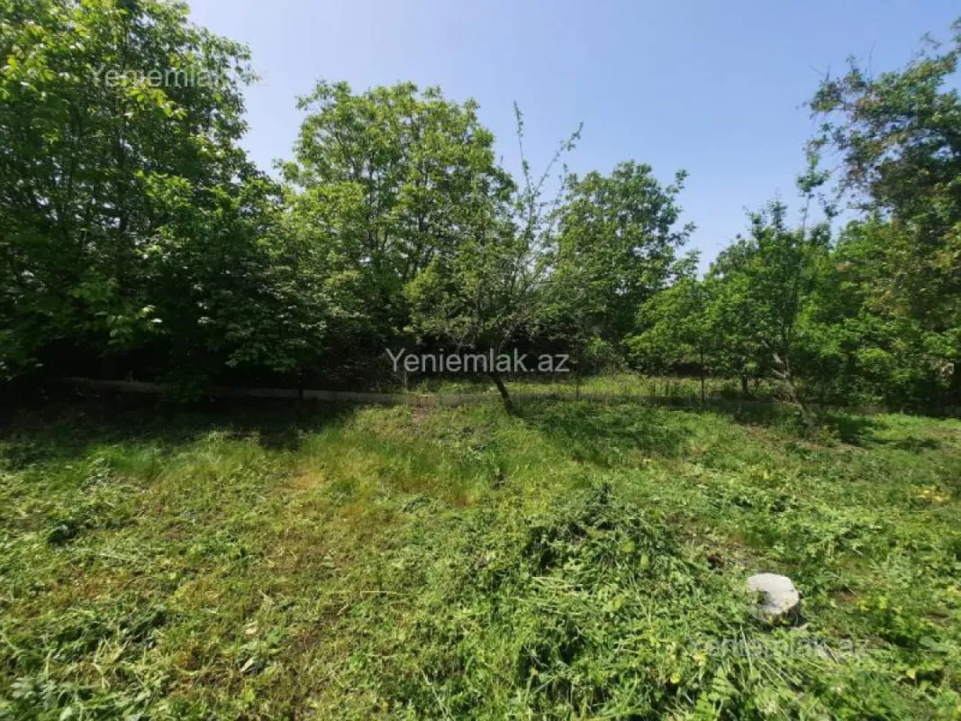 Satılır torpaq sahəsi