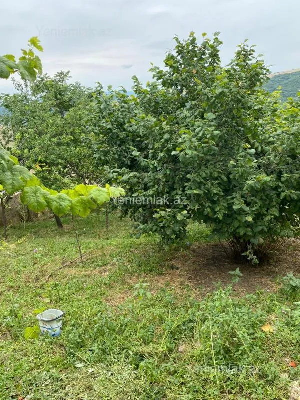 Satılır 3 otaqlı həyət evi 80 m²