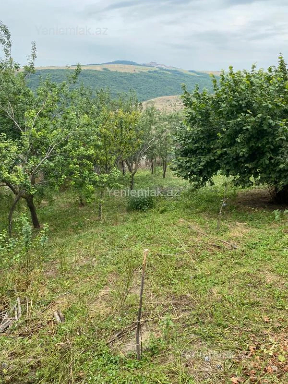 Satılır 3 otaqlı həyət evi 80 m²