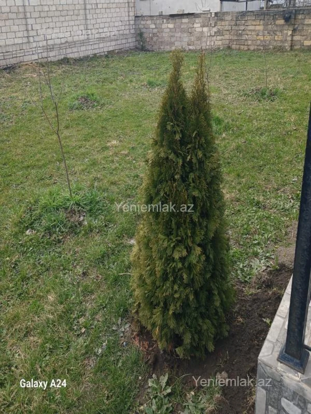 Satılır 6 otaqlı həyət evi 170 m²