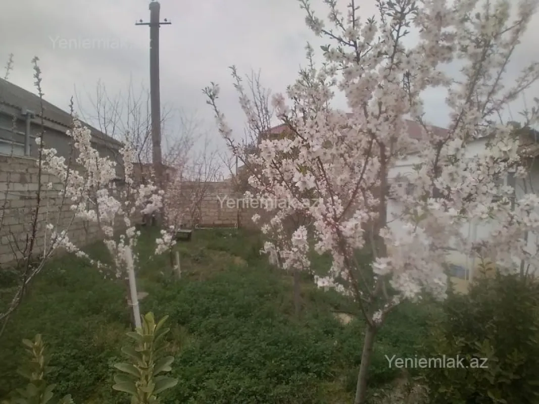 Satılır 3 otaqlı həyət evi 60 m²