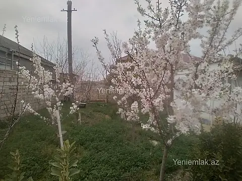 Satılır 3 otaqlı həyət evi 60 m²