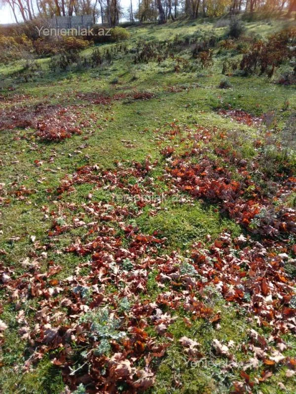 Satılır torpaq sahəsi