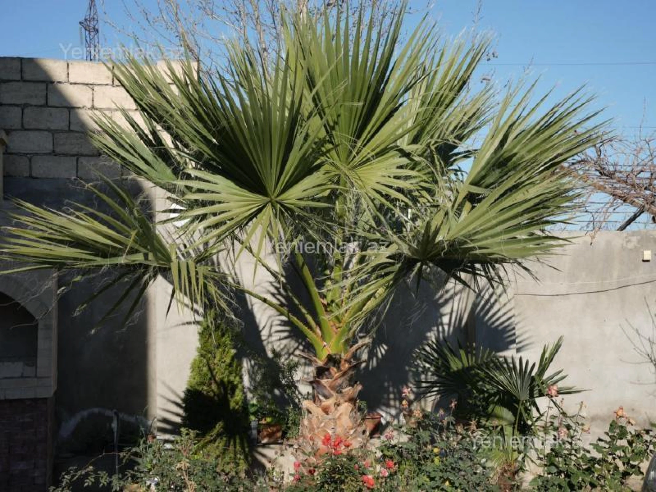 Satılır 7 otaqlı həyət evi 310 m²