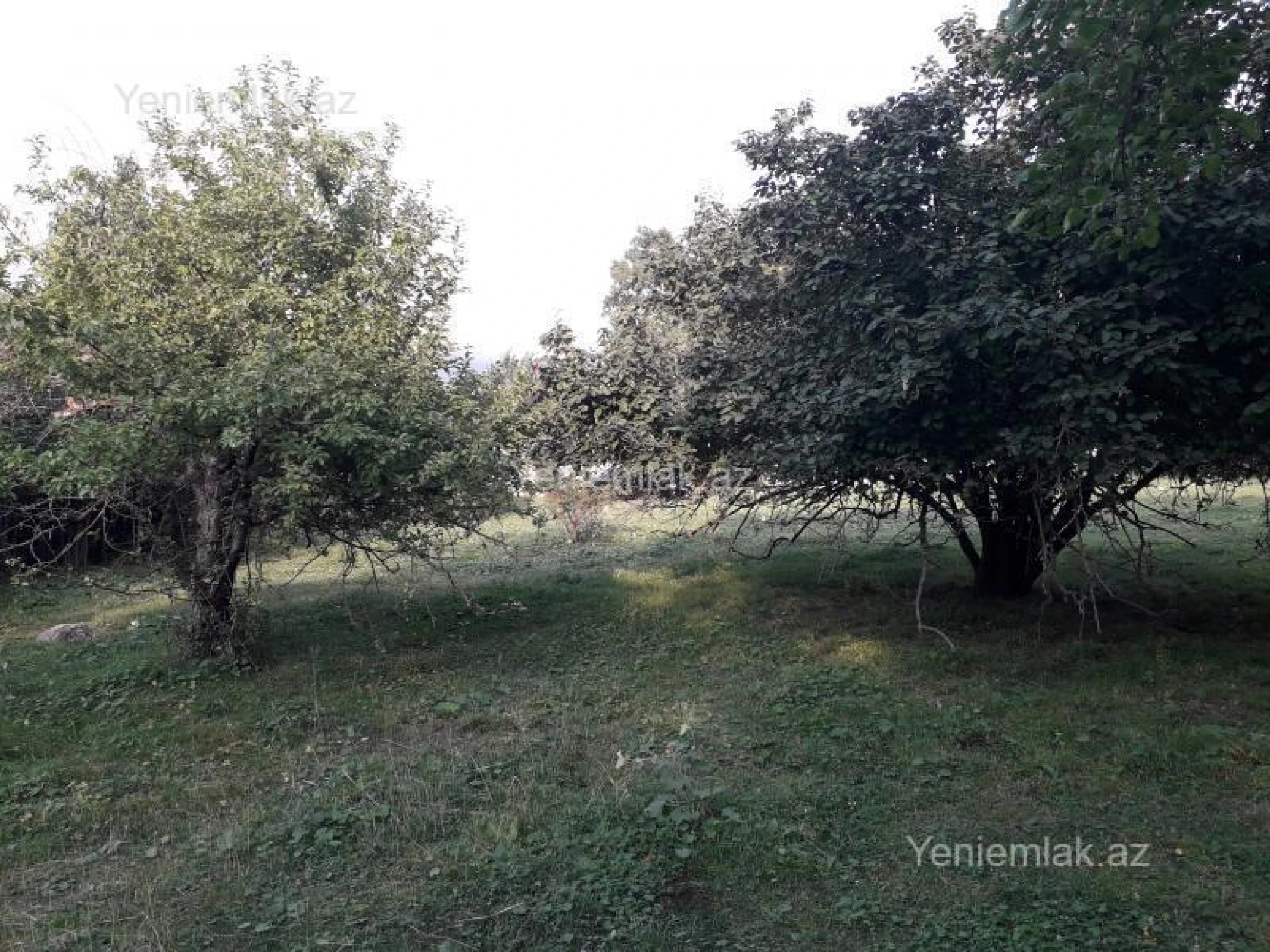 Satılır 4 otaqlı həyət evi 400 m²