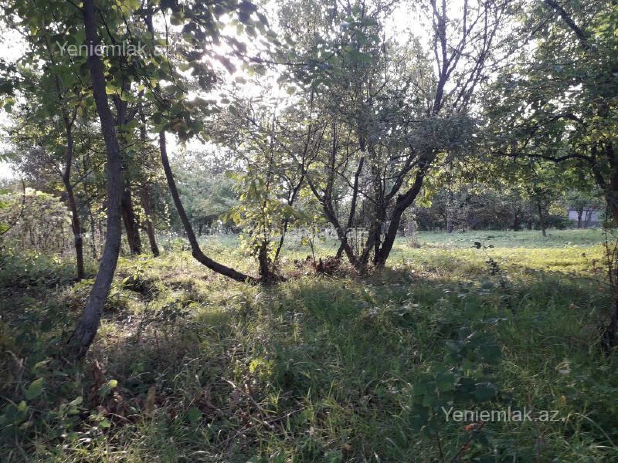 Satılır 4 otaqlı həyət evi 400 m²