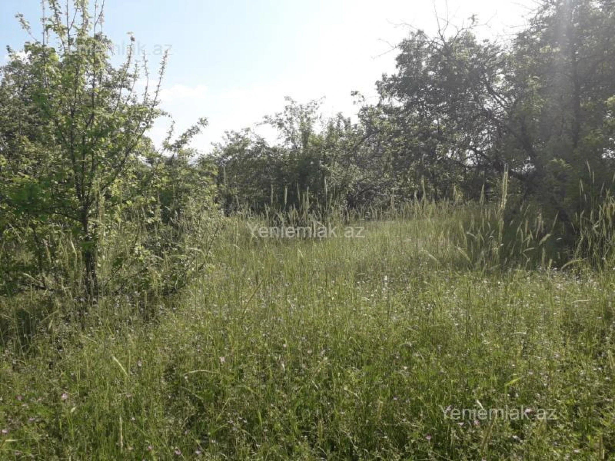 Satılır 4 otaqlı həyət evi 400 m²