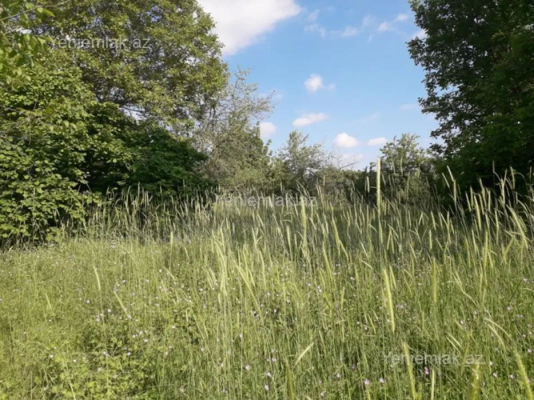 Satılır 4 otaqlı həyət evi 400 m²