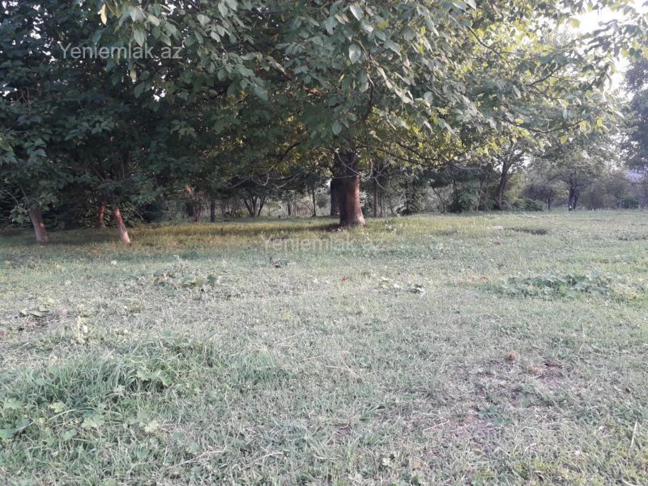 Satılır 4 otaqlı həyət evi 400 m²