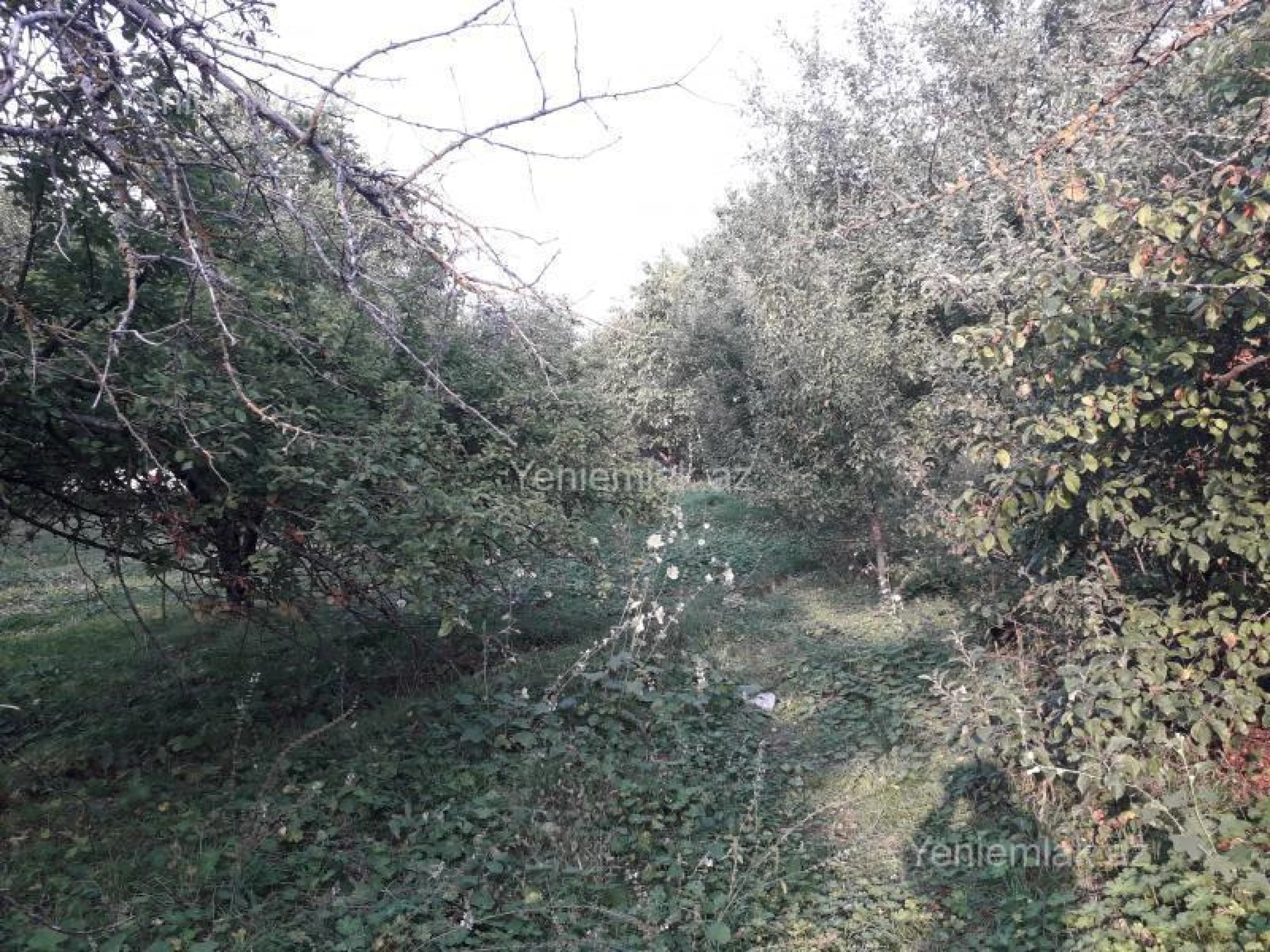 Satılır 4 otaqlı həyət evi 400 m²