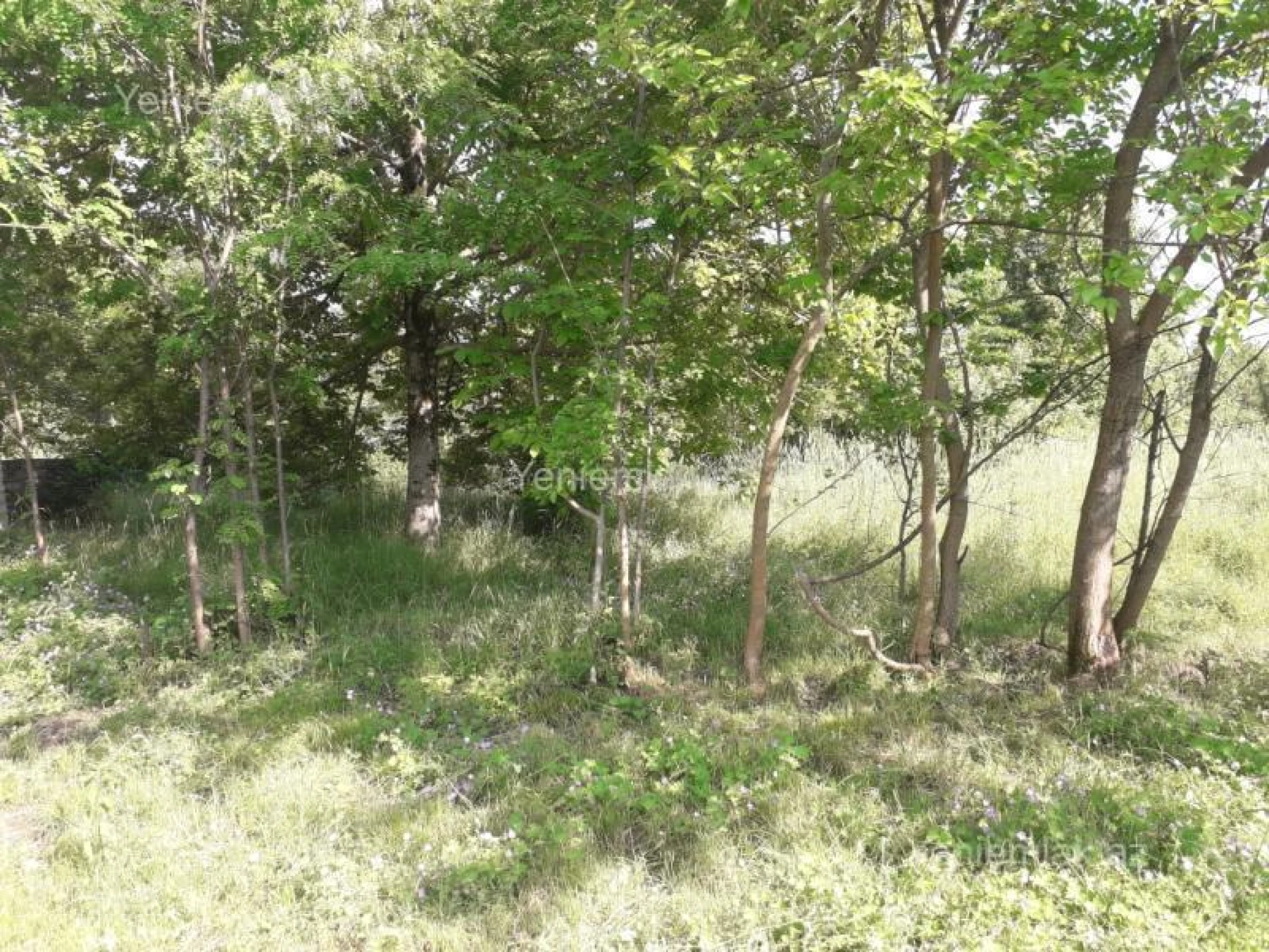 Satılır 4 otaqlı həyət evi 400 m²