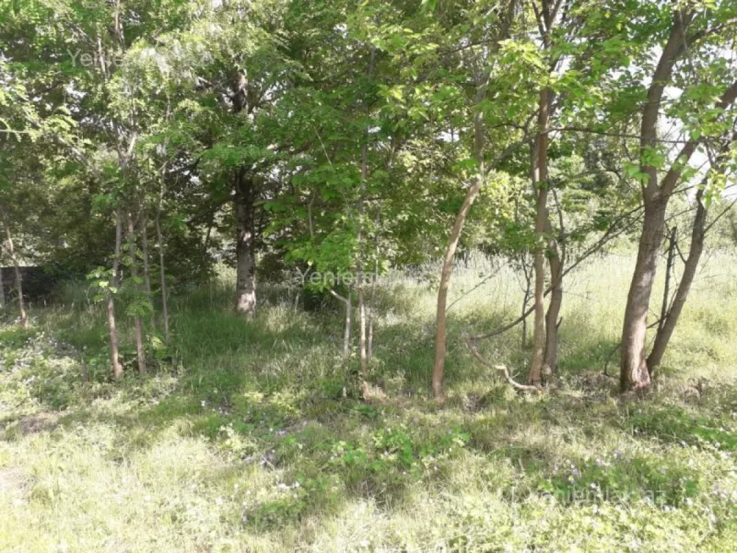 Satılır 4 otaqlı həyət evi 400 m²