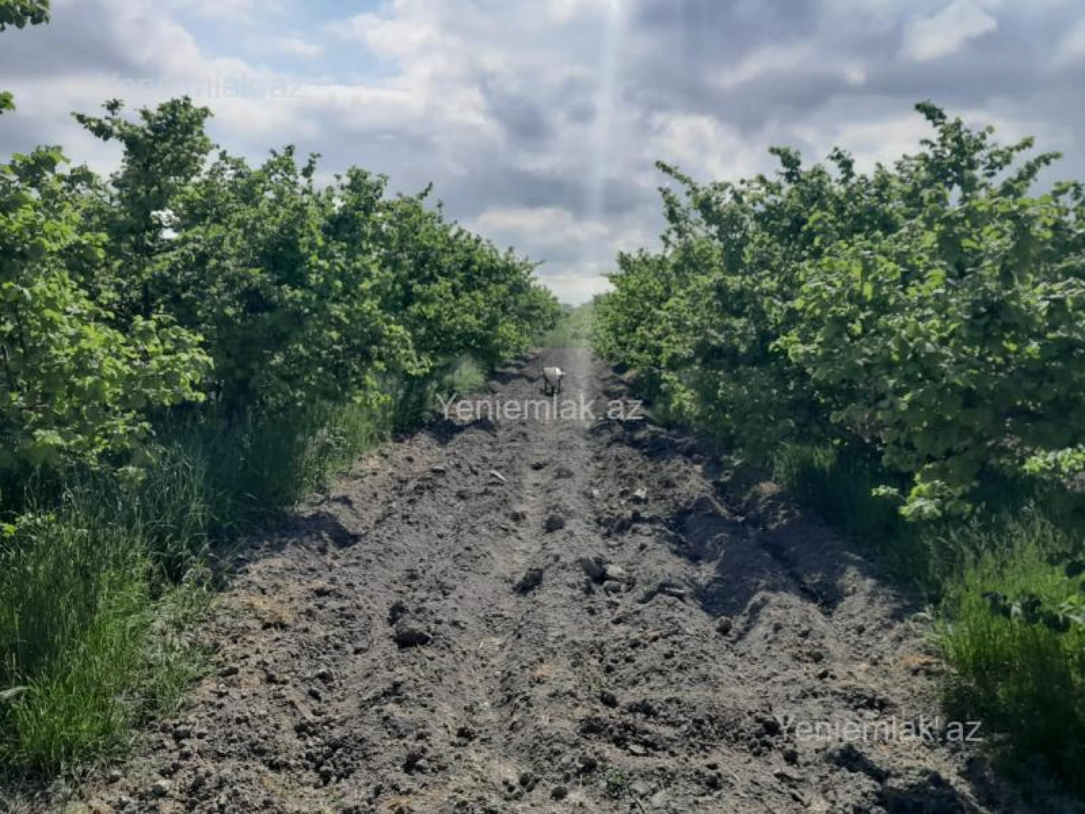 Satılır torpaq sahəsi